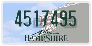 4517495  license plate in NH