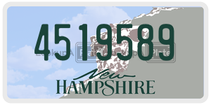 4519589  license plate in NH