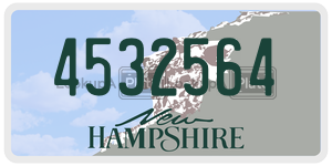 4532564  license plate in NH