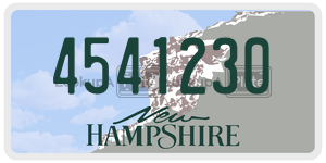 4541230  license plate in NH