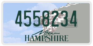 4558234  license plate in NH