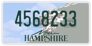 4568233  license plate in NH