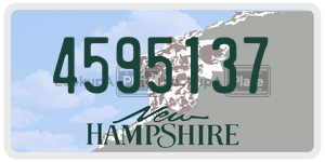 4595137  license plate in NH