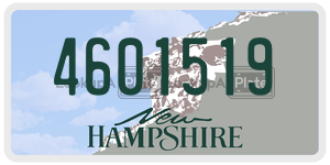 4601519 license plate in New Hampshire