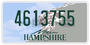4613755  license plate in NH