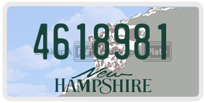 4618981  license plate in NH