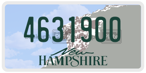 4631900  license plate in NH