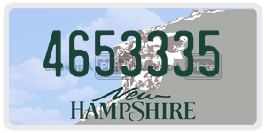 4653335 license plate in New Hampshire