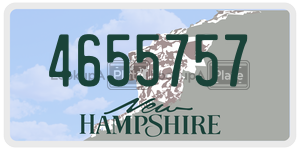 4655757  license plate in NH