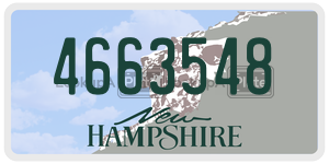 4663548  license plate in NH