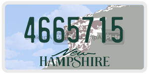 4665715  license plate in NH
