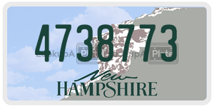 4738773 license plate in New Hampshire