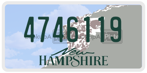 4746119  license plate in NH