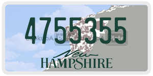 4755355  license plate in NH