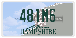 481M6  license plate in NH