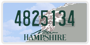 4825134  license plate in NH