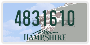 4831610 license plate in New Hampshire