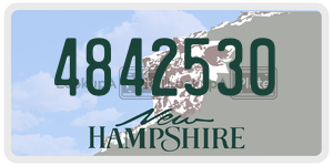 4842530 license plate in New Hampshire