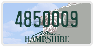 4850009  license plate in NH