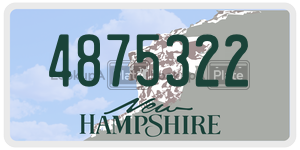 4875322  license plate in NH