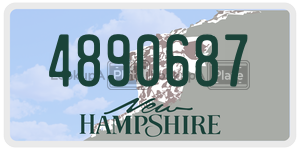 4890687  license plate in NH