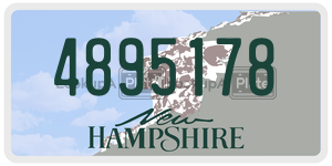 4895178  license plate in NH