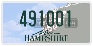 491001  license plate in NH