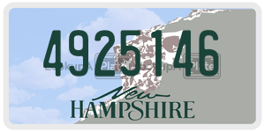 4925146  license plate in NH