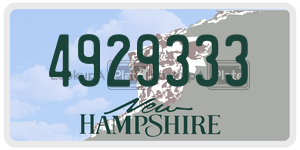 4929333  license plate in NH