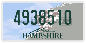 4938510  license plate in NH