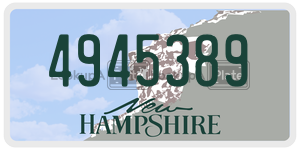 4945389  license plate in NH
