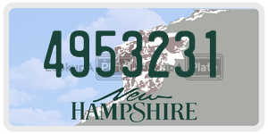 4953231  license plate in NH
