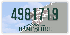 4981719  license plate in NH
