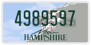 4989597  license plate in NH