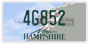 4G852  license plate in NH