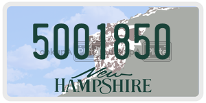5001850  license plate in NH