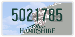 5021785 license plate in New Hampshire