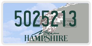 5025213 license plate in New Hampshire