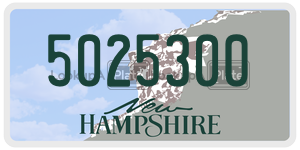 5025300  license plate in NH