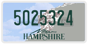 5025324  license plate in NH