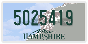 5025419  license plate in NH