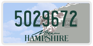 5029672 license plate in New Hampshire
