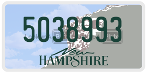 5038993  license plate in NH