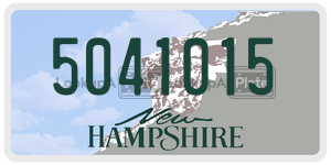 5041015  license plate in NH