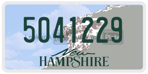 5041229  license plate in NH