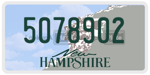 5078902  license plate in NH