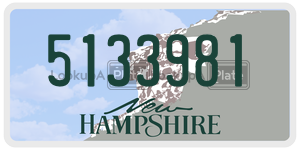 5133981  license plate in NH