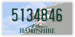 5134846 license plate in New Hampshire