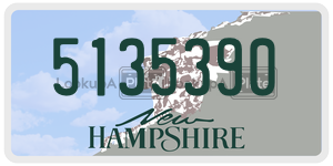 5135390  license plate in NH