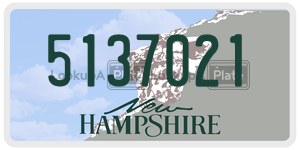 5137021  license plate in NH